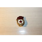 Знак "Гвардия", времён СССР, тяжёлый металл.