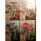 Беларусь 2022 Ядовитые грибы, 4 шт. с купоном ** Флора Картмаксимум