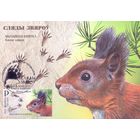 Беларусь 2025 4 Картмаксимума фауна следы зверей