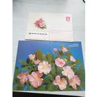 ОТКРЫТКА+КОНВЕРТ "С ДНЕМ РОЖДЕНИЯ!"