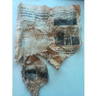 Фрагмент немецкой газеты от 25 августа 1989 года