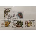 РАСПРОДАЖА КОЛЛЕКЦИИ. СССР, марки "флора"