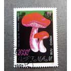 Марка Вьетнам 1991 год Грибы