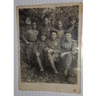 1945  ВОВ Красавец Портретное фото орден Славы и.награды подписано (Алб)