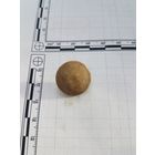 Пуговица немецкая