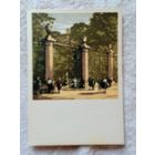 Смирнов. Ленинград. Вход в Летний сад