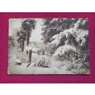 Сочи. Зима. 30 г. Чистая.