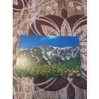 Календарик,природа,1993