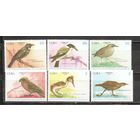 ФФ1 Куба 1990 Птицы