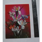 Открытка "Поздравляю!", не подписанная.