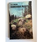 Вячеслав Зверев. Каменная радуга