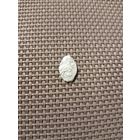 Чешуйка3 Алексей Михайлович с рубля!