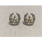 Эмблемы общевойсковые ВС РБ ( металлические с желтым напылением)