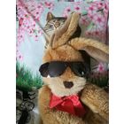 Солнцезащитные очки, для мальчика 5-10 лет