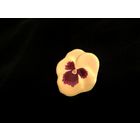 Брошь, керамика, винтаж, "Анютин глаз" Фиалка Виттрока Avon