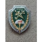 Государственный институт повышения квалификации и переподготовки кадров таможенных органов