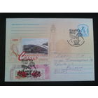 2008 хмк + СГ Славянский базар