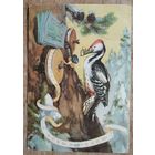 Строганова Н. Алексеев М. С Новыим годом! 1956 г. Подписана.