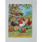 Ёжики ГДР 1965  10х15 см