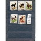 КНДР, 1966, фауна  ОЛЕНИ  серия 5м **, чистая