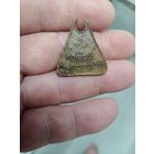 Собачий жетон