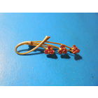 Старая Брошь.