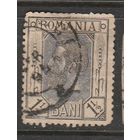 Румыния 1 1/2в 1893-98гг