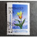 Марка СССР 1960 год Флора СССР