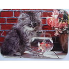 Календарик 1999 г.  Белгосстрах.