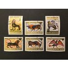 Польша 1976 год. Искусство. Фрески. Художественная роспись. Мифические животные.