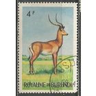 Бурунди. Животный мир страны. Импела. 1964г. Mi#93.