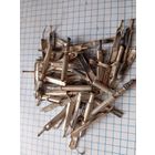 Посеребренка