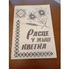 Расце у жыце кветка