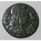 Боратинка 1661(1)