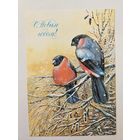 Панченко  1985 с новы годом снегири*