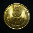 5 КОПЕЕК 1991 ЯРКИЙ ШТЕМПЕЛЬНЫЙ ЛЮКС ( БЕЗ МЦ ) КОРОТКИЙ АУК