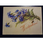 Поздравляю!  Васильки.  1958 г.  подписанная.