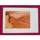 С Днем Рождения! То-Лиен 1985 г. Двойная. Чистая. Кр1.