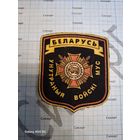 Шеврон ВВ МВД РБ б/у штамп Жильбел