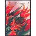 2000 ДМПК Беларусь Поздравляем