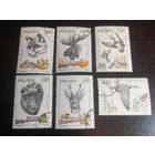 Польша 1981 фауна