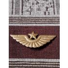 Кокарда ВВС СССР. Ранняя.