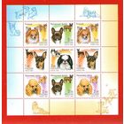 Россия.2000, 20 июля. Фауна. Декоративные породы собак.МЛ**.