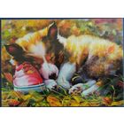 Щенок и ботинок. Е.Рязанова. Украина.