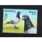 Беларусь. 2011. Голуби. Серия