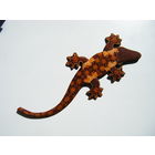 Панно. Ящерица,Геккон Резьба по дереву. Ручная роспись. Индонезия.