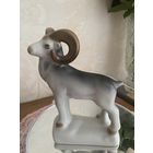 Архар Полонное