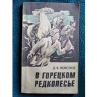 Д.Ф. Войстров. В горецком редколесье
