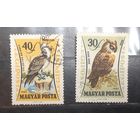 Венгрия. 1962 год. Фауна. Птицы (392)