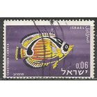Израиль. Рыба-бабочка енот. 1962г. Mi#267.
